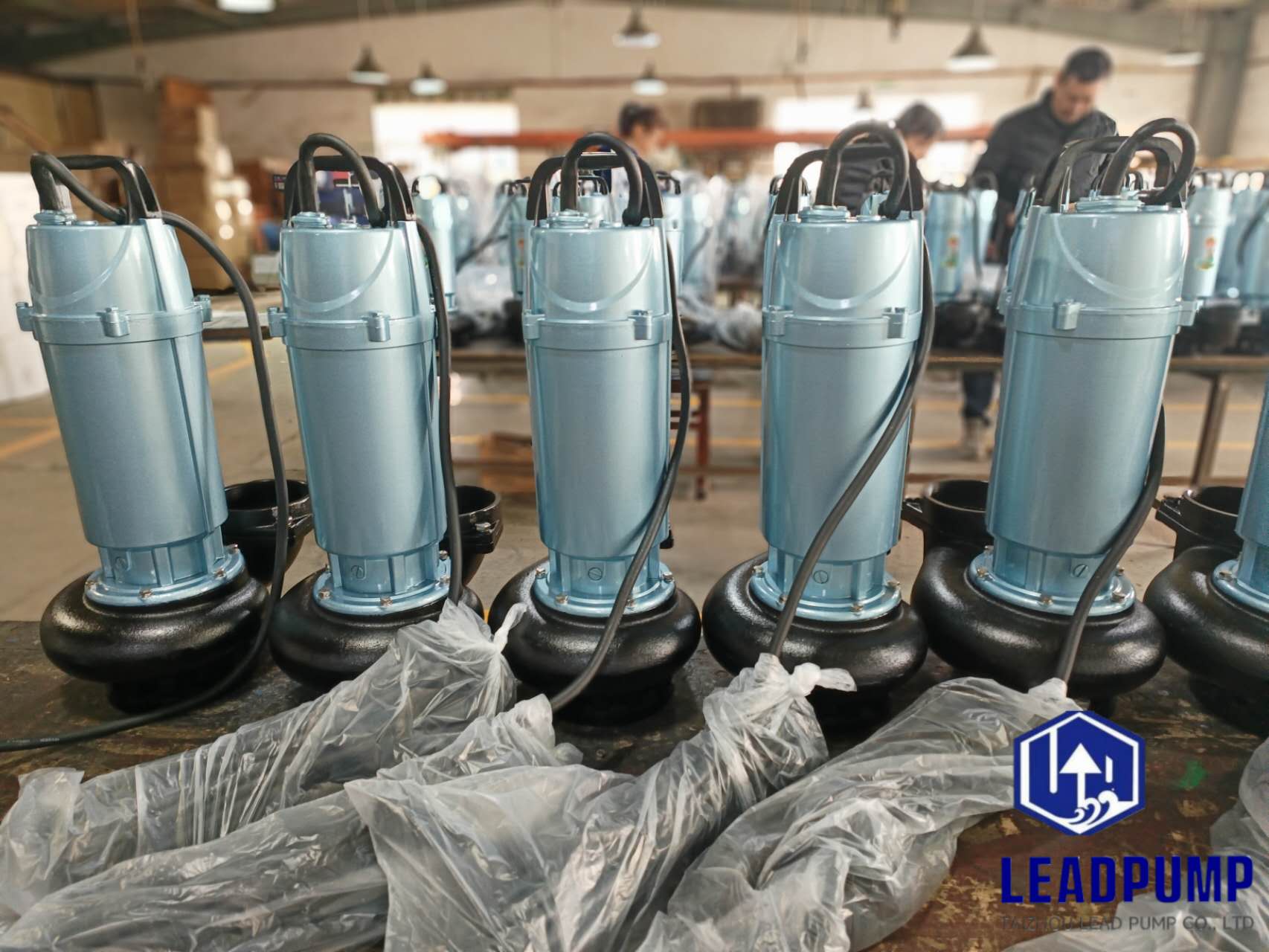 TAIZHOU LEAD PUMP CO., LTD Completes Production of New Submersible Pumps for a Middle East Customer