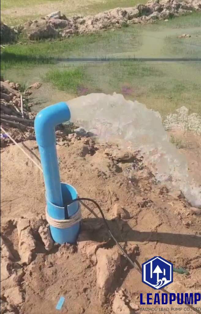 Solar Hybrid Pump in Action – Philippines Farm!