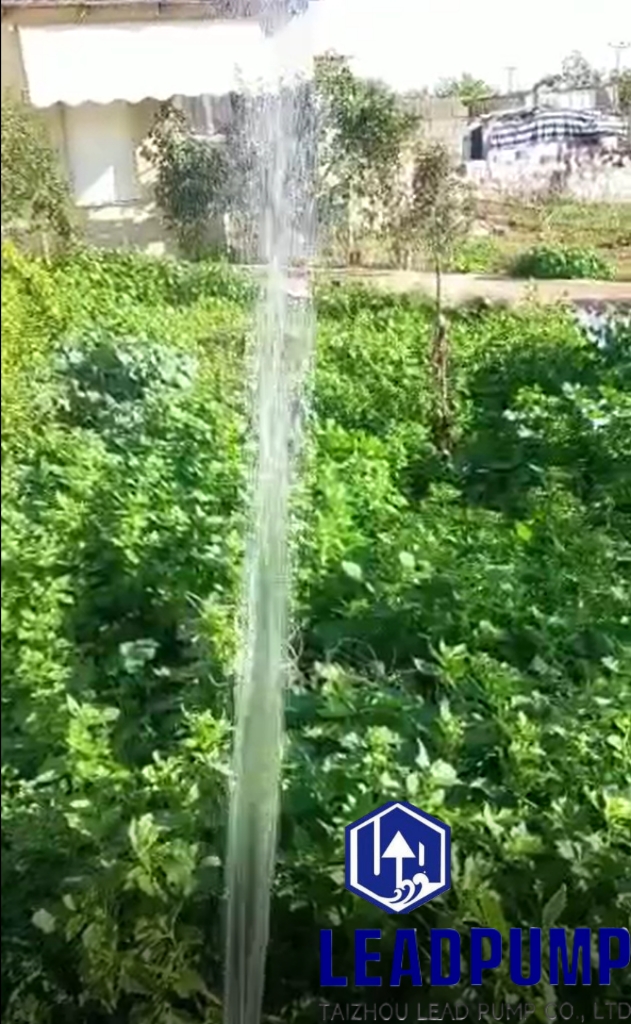 Harness the Sun's Power with Our 3DSP4-50-48-400 Solar Submersible Pump!